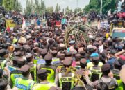 Ribuan Petani Tebu Gelar Aksi Unjuk Rasa,  Tuntut  Bulog Segera Perbaiki Pabrik GMM