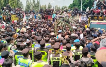 Ribuan Petani Tebu Gelar Aksi Unjuk Rasa,  Tuntut  Bulog Segera Perbaiki Pabrik GMM