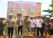 Perkuat Ketahanan Pangan, Blora Gelar Panen Raya dan Tanam Jagung Serentak Bersama Kopassus