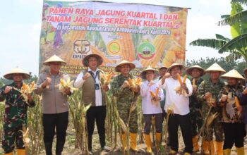 Perkuat Ketahanan Pangan, Blora Gelar Panen Raya dan Tanam Jagung Serentak Bersama Kopassus