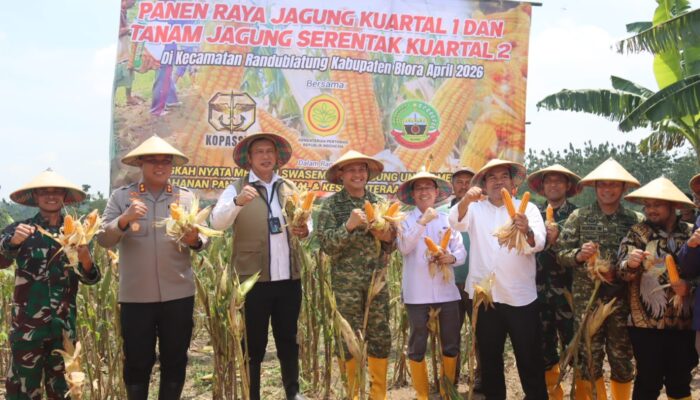 Perkuat Ketahanan Pangan, Blora Gelar Panen Raya dan Tanam Jagung Serentak Bersama Kopassus